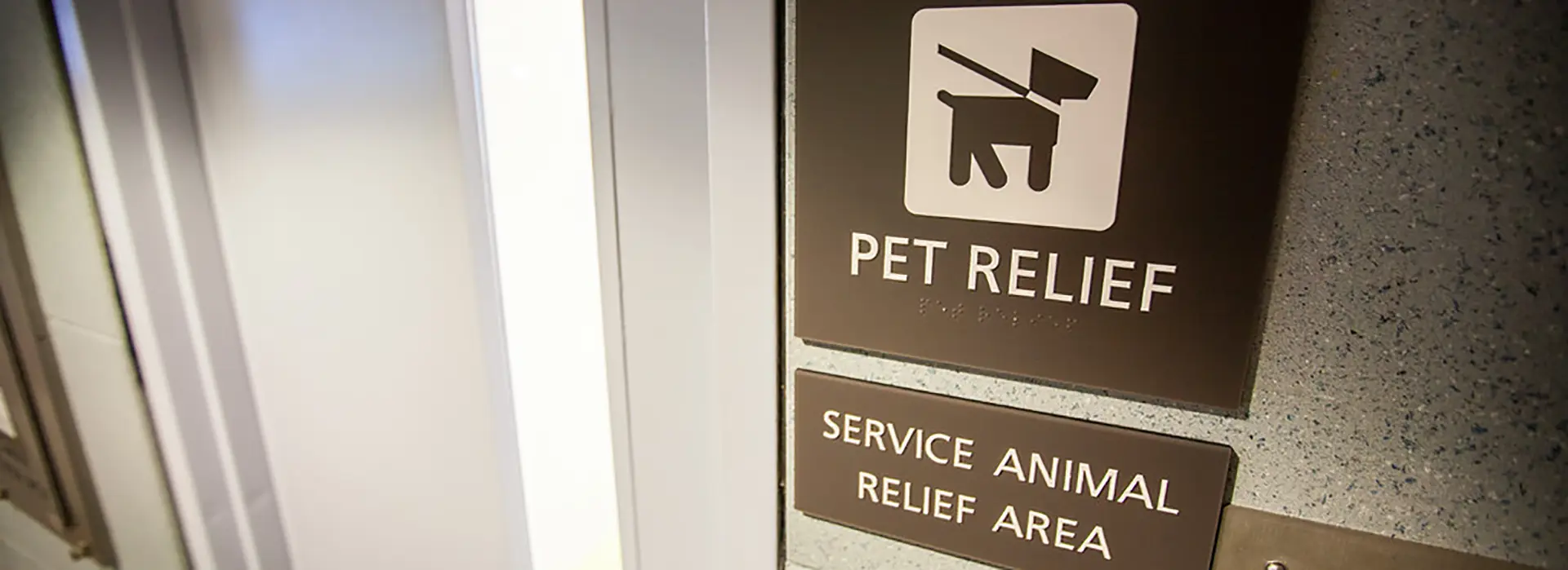 Service Animals in Airports